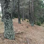 юндовата къща 度假居