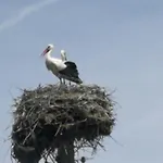 בית נופש юндовата къща *
