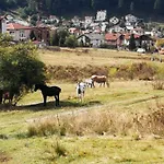юндовата къща * בלי איסקור