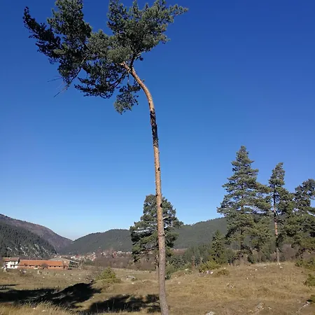 Vakantiehuis юндовата къща Beli Iskar