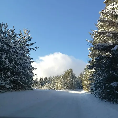 юндовата къща Hébergement de vacances Beli Iskar