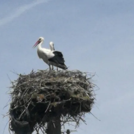 Hébergement de vacances юндовата къща *