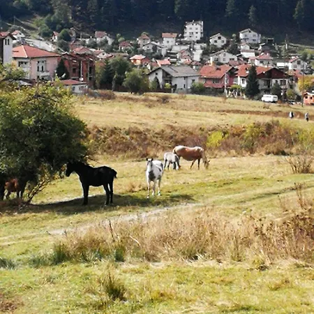 юндовата къща * Beli Iskar