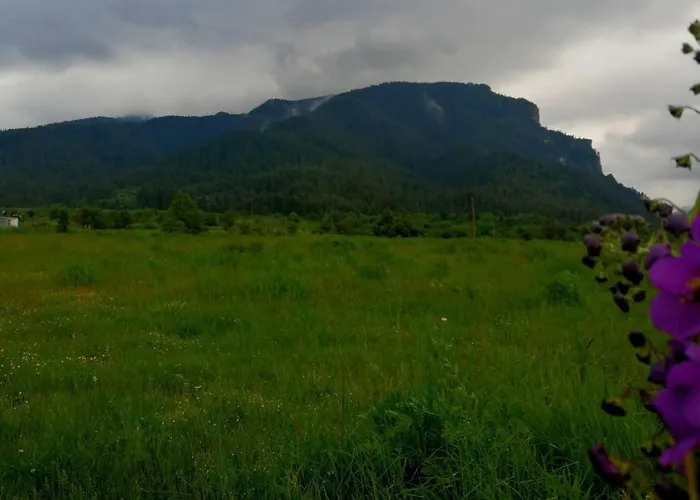 юндовата къща Beli Iskar