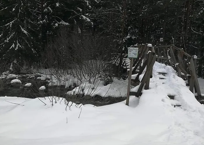 Tatil Evi юндовата къща