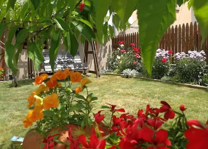 Tatil Evi юндовата къща