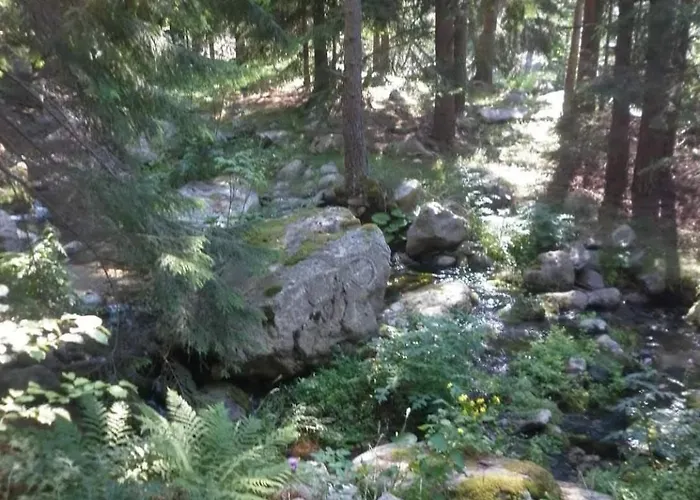 Tatil Evi юндовата къща *