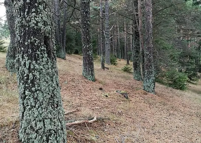 юндовата къща Tatil Evi