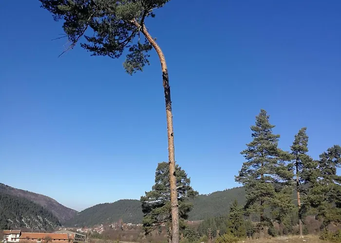 בית נופש юндовата къща בלי איסקור