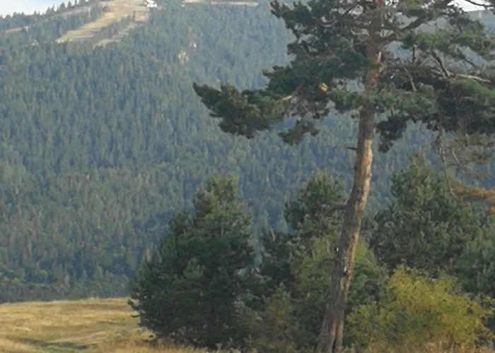 юндовата къща Tatil Evi