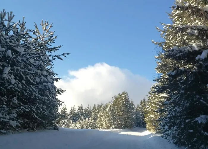 юндовата къща בית נופש בלי איסקור