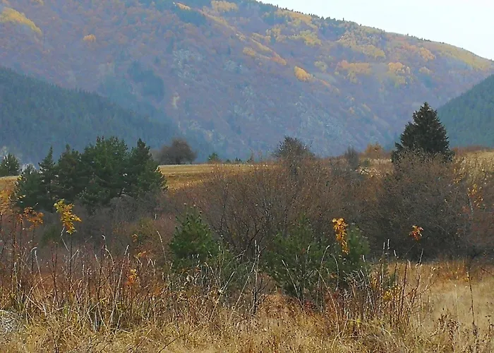 Tatil Evi юндовата къща *