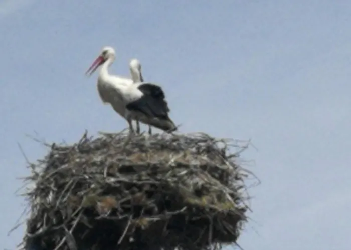 בית נופש юндовата къща *