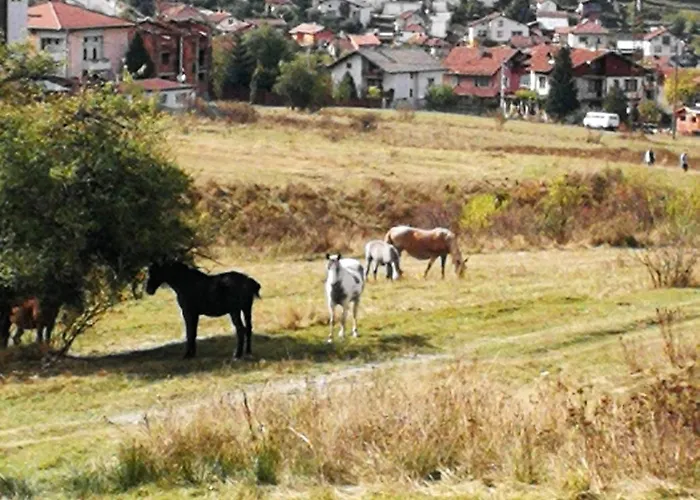 юндовата къща * בלי איסקור