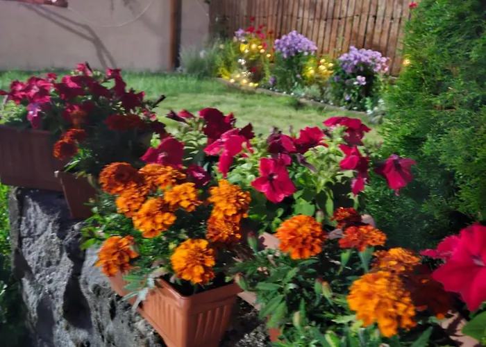 Tatil Evi юндовата къща *