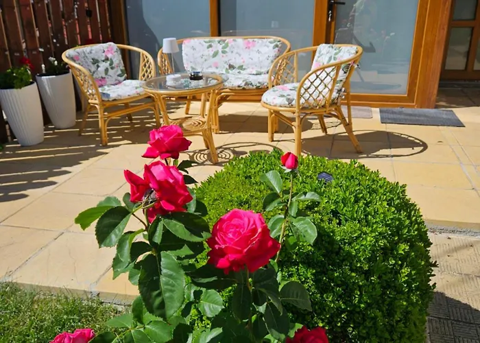 юндовата къща בלי איסקור